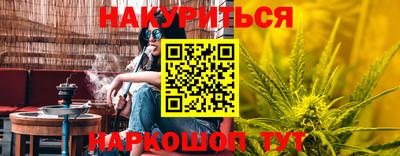 Альфа ПВП Владикавказ