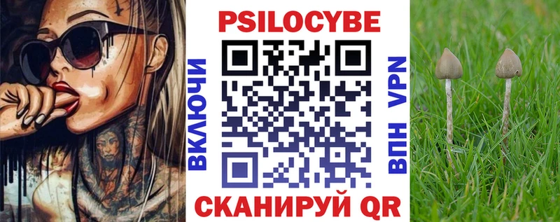 Псилоцибиновые грибы мицелий  как найти закладки  это официальный сайт  Находка 