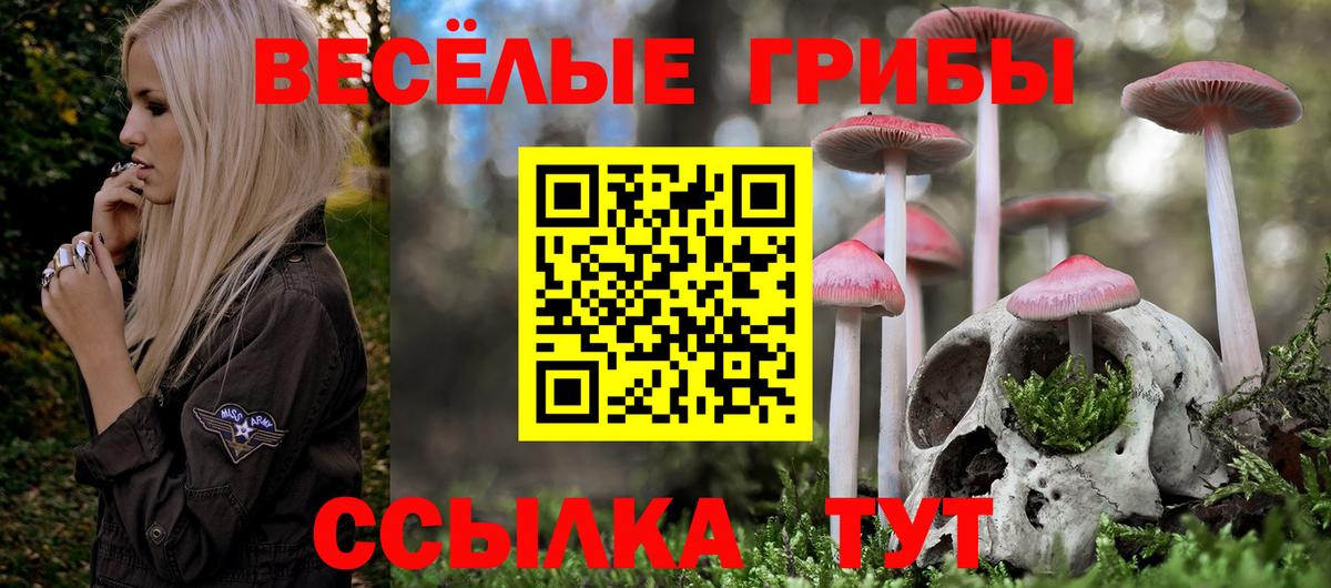 Псилоцибиновые грибы мухоморы  наркошоп  Находка  Галлюциногенные грибы Magic Shrooms  Вход с VPN 