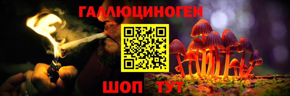 Галлюциногенные грибы ЛСД Находка